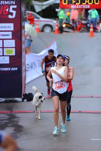 BIB: 2019, 7206
                            <button type="button" onclick="openModal(5745796)" class="btn btn-primary btn-sm float-right btn-popup" data-toggle="modal" data-target=".modal-high-quality">
                        <i class="fas fa-shopping-cart"></i> Add to Cart
                    </button>
                                            <button type="button" onclick="isThisMe(5745796, true)" class="btn btn-success btn-sm float-right btn-popup btn-isme hidden" data-toggle="tooltip" data-placement="bottom" title="นี่คือรูปของคุณใช่ไหม คลิกที่นี่เพื่อเอาเข้าอัลบั้ม">
                        <i class="fas fa-plus"></i> Add to album
                    </button>
                    <button type="button" onclick="isThisMe(5745796, false)" class="btn btn-warning btn-sm float-right btn-popup btn-isnotme hidden">
                        <i class="fas fa-ban"></i> Remove from album
                    </button>